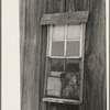 Detail of window of sharecropper's cabin, New Madrid County, Missouri