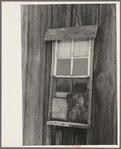 Detail of window of sharecropper's cabin, New Madrid County, Missouri