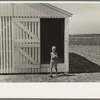 Southeast Missouri Farms. Child of FSA (Farm Security Administration) client getting corn from crib