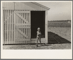 Southeast Missouri Farms. Child of FSA (Farm Security Administration) client getting corn from crib