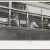 People in streetcar, Washington, D.C