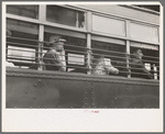 People in streetcar, Washington, D.C