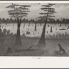Primitive American art, work of local artist in store, La Forge, Missouri