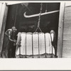 Cotton on scales at gin, Lehi, Arkansas