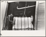 Cotton on scales at gin, Lehi, Arkansas