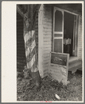 Barber pole on tree and sign, Kenner, Louisiana