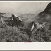 Fighting fire of rice straw stack in rice field near Crowley, Louisiana. Position of fighters gave an idea of intense heat