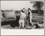 Loading rice onto truck, Crowley, Louisiana