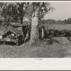 Camp of migrant cane chair maker near Paradis, Louisiana