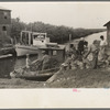 Unloading oysters from small boats, Olga, Louisiana. Note length of canal leading out to Gulf