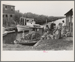 Unloading oysters from small boats, Olga, Louisiana. Note length of canal leading out to Gulf