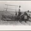 Cutting rice with binder, Crowley, Louisiana