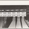 Filling packages with rice, state mill, Abbeville, Louisiana