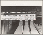 Filling packages with rice, state mill, Abbeville, Louisiana