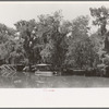 Bayou.  Louisiana (near Abbeville)