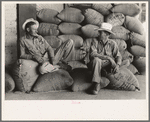 Farmers sitting on bags of rice, state mill, Abbeville, Louisiana
