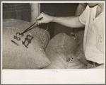 Painting sacks of rice for identification purpose, state rice mill, Abbeville, Louisiana