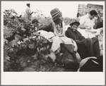 Day laborers, cotton pickers, in field, Lake Dick Project, Arkansas