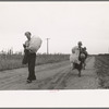 Cotton pickers, day laborers, walking in from field with cotton. Lake Dick Project, Arkansas