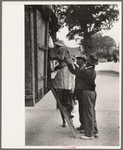 Helping women cotton pickers board truck, Pine Bluff, Arkansas