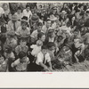 Detail of crowd of spectators, National Rice Festival, Crowley, Louisiana, listening to Cajun band