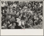 Detail of crowd of spectators, National Rice Festival, Crowley, Louisiana, listening to Cajun band