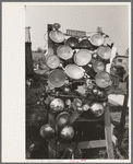 Display of headlights at junkyard, Abbeville, Louisiana