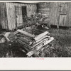 Primitive guard for tree protected from rabbits at farmhome of aged Cajun couple, near Crowley, Louisiana