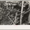 Group of automobile springs, junkyard, Abbeville, Louisiana