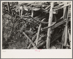 Group of automobile springs, junkyard, Abbeville, Louisiana