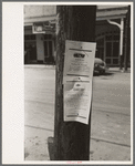 Notices of death, Saint Martinville, Louisiana. This is a very common custom to post these notices in the Southern states