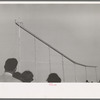 Crowd watch daredevil preparing to dive into water from cycle down elevated incline, state fair, Donaldsonville, Louisiana