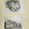Drawings of German Occupation Atrocities.