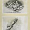Drawings of German Occupation Atrocities.