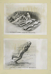 Drawings of German Occupation Atrocities.