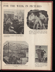 Motion picture record