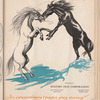 Motion picture record