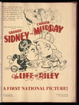 Motion picture record