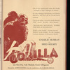 Motion picture record