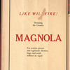 Motion picture record
