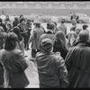 Gay Rights Demonstration, Albany, New York, 1971