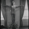 "The Homosexual" exhibition at the Gallery of Erotic Art, 1970 March