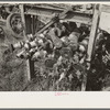 Group of automobile crankshafts in junkyard, Abbeville, Louisiana