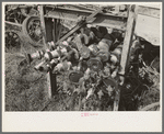 Group of automobile crankshafts in junkyard, Abbeville, Louisiana
