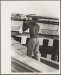 Negro stevedore removing lumber from packet boat "El Rito," Pilottown, Louisiana