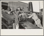 Negro stevedores handling drums, New Orleans, Louisiana