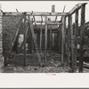 Side wall of old house dating from early nineteenth century showing details of construction. Showing use of mud and moss as filling agent. Near Edgard, Louisiana