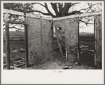 Side wall of old house dating from early nineteenth century showing details of construction. Showing use of mud and moss as filling agent. Near Edgard, Louisiana