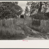 Driveway, Paulina, Louisiana