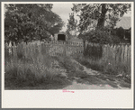 Driveway, Paulina, Louisiana